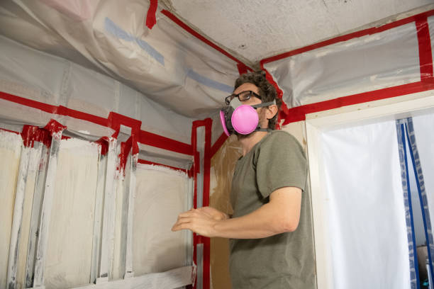 Best Air Quality Testing for Mold Spores  in Payson, UT