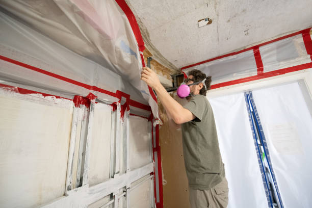 Best Mold Odor Removal Services  in Payson, UT